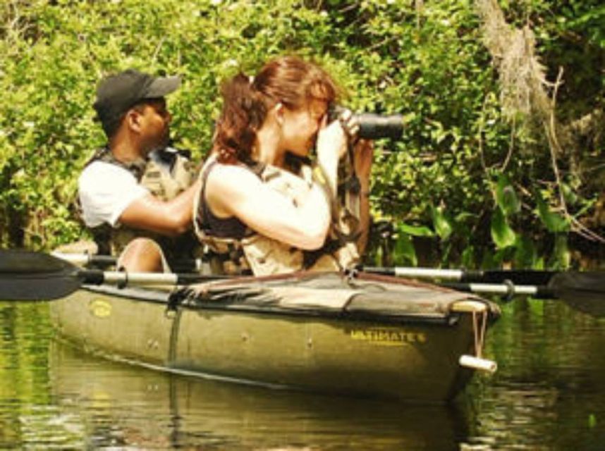 Everglades: Everglades Alligators and Orchids Kayak Eco Tour - Book or Pass: Should You Choose This Tour?