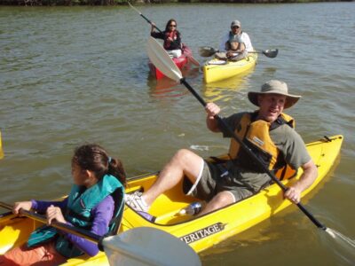 Everglades National Park 3-Hour Kayak Eco Tour - The 3-hour paddle game plan: how each stop fits wildlife spotting