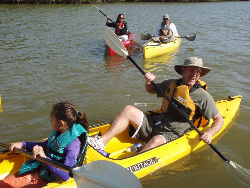 Everglades National Park 3-Hour Kayak Eco Tour - The 3-hour paddle game plan: how each stop fits wildlife spotting