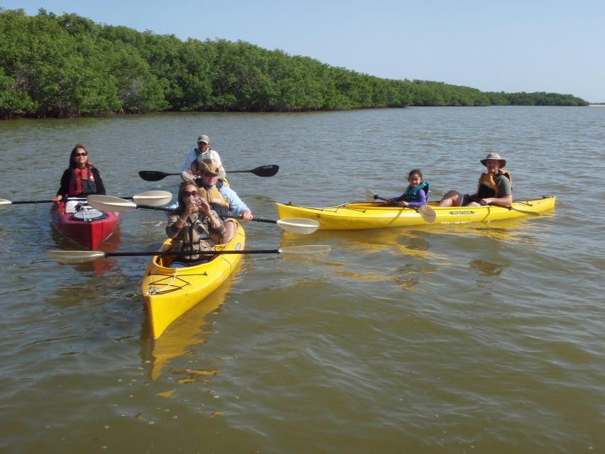 Everglades National Park: Boat Assisted Kayak Eco Tour - What Wildlife You’ll Actually Want to Look For