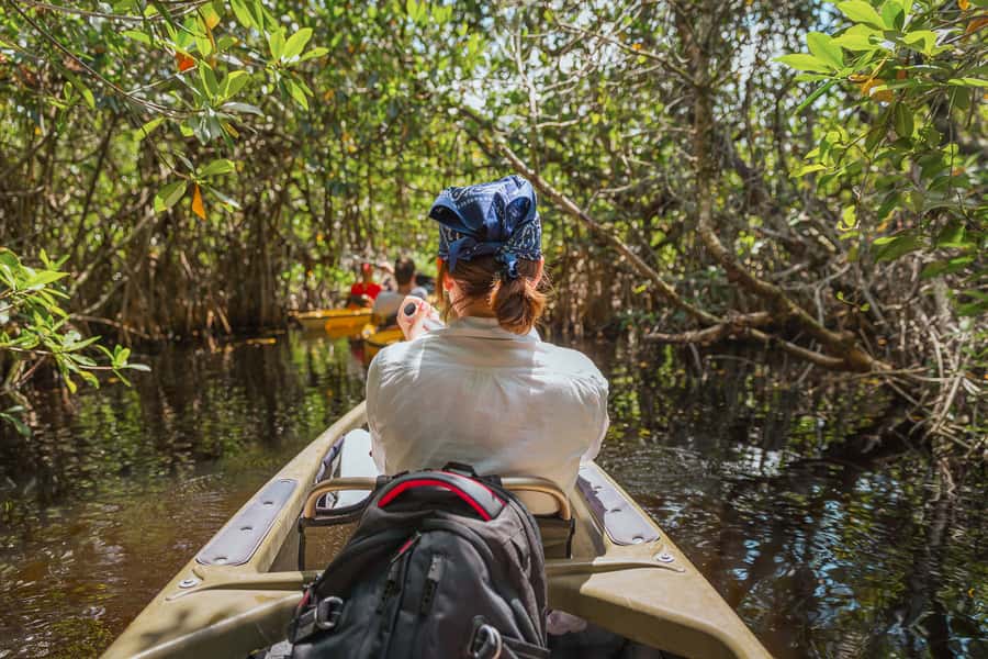 Everglades National Park: Mangrove Tunnel Kayak Eco-Tour - Key Highlights Worth Your Time