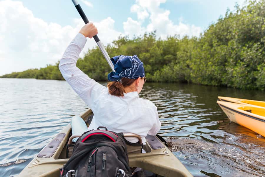 Everglades National Park: Mangrove Tunnel Kayak Eco-Tour - Why Mangrove Tunnels Are a Different Kind of Everglades