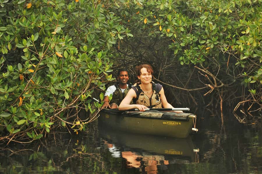 Everglades National Park: Mangrove Tunnel Kayak Eco-Tour - Getting Comfortable in a Sit-On-Top Kayak (No Experience Needed)