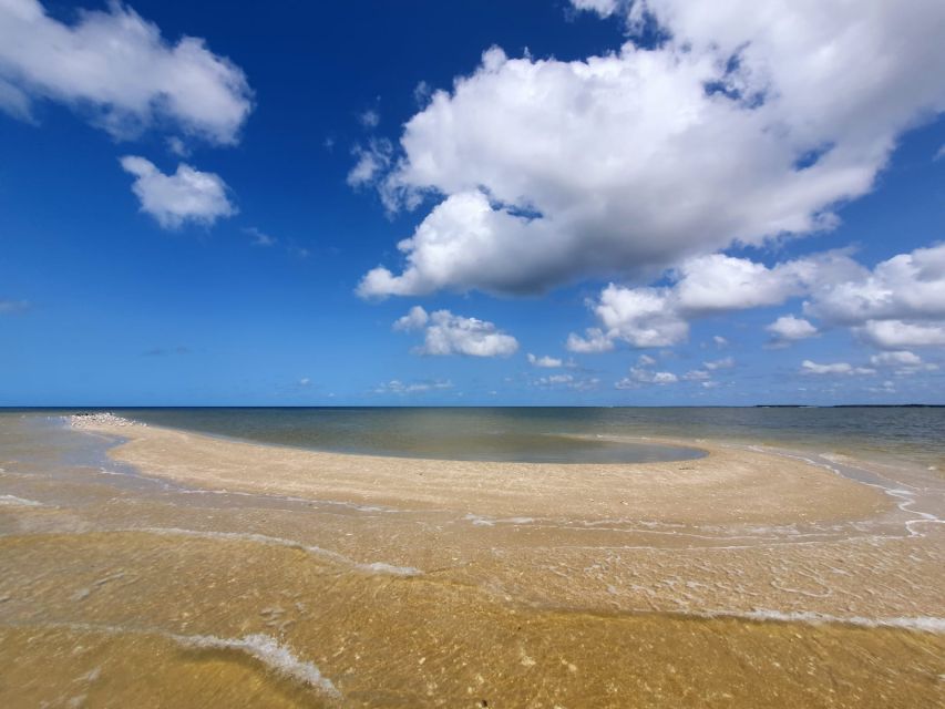 Everglades National Park: Motorboat Eco Tour - Why the 10,000 Islands feel like a different Everglades
