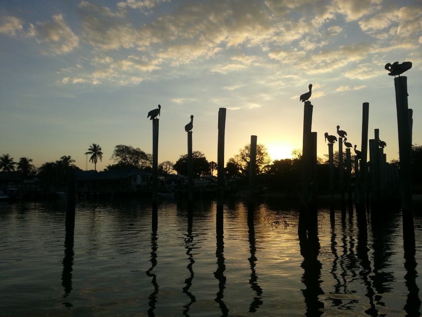 Everglades National Park: Motorboat Eco Tour - Cruising time: what you’re doing on the boat