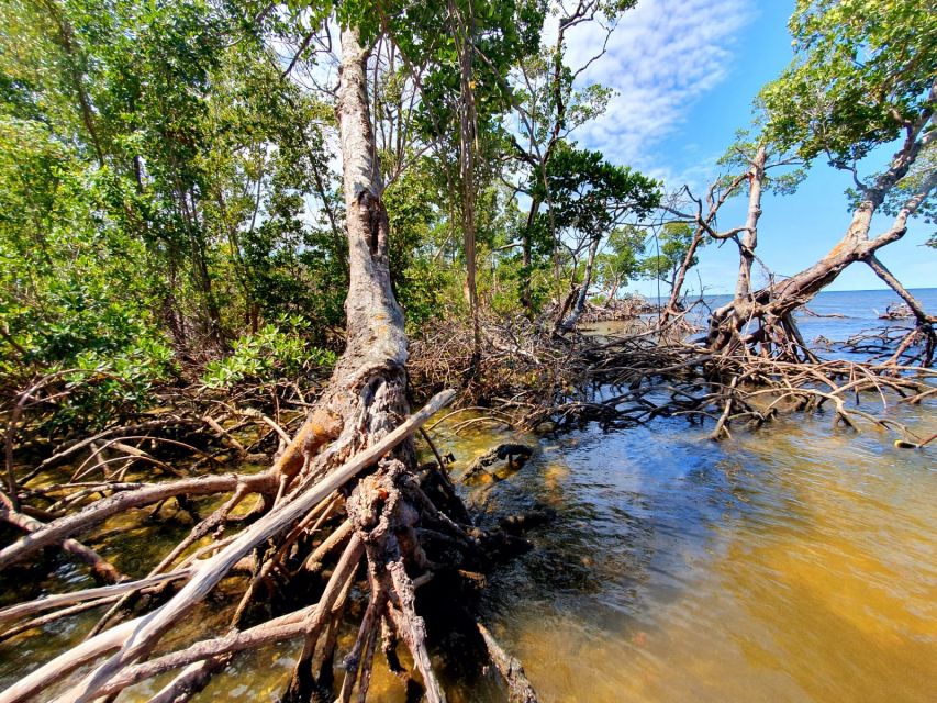 Everglades National Park: Motorboat Eco Tour - What the 3 hours actually feels like