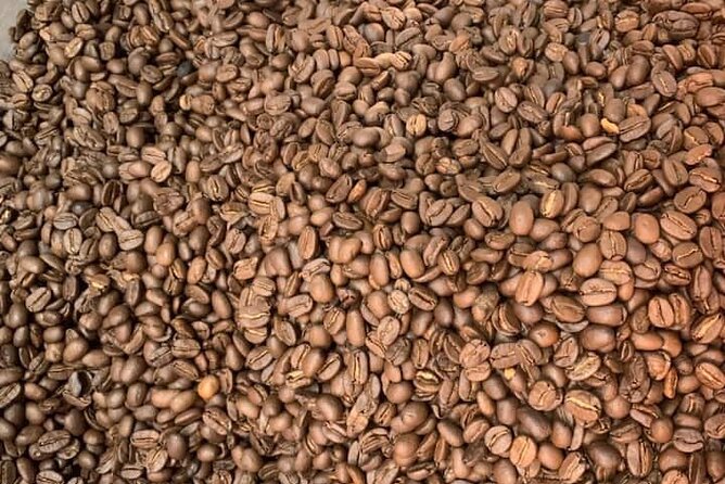 Experience Making specialty coffee in Da Lat City - Brewing practice and tasting: compare, then build a personal preference