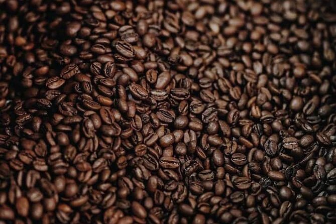 Experience Making specialty coffee in Da Lat City - Making your own traditional Phin coffee while watching the city