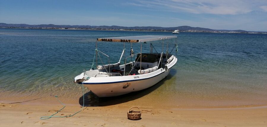 Faro: Eco-Friendly Ria Formosa Bird Watching in Solar Boat - Spotting Moments: Ospreys, Spoonbills, Flamingos, and More