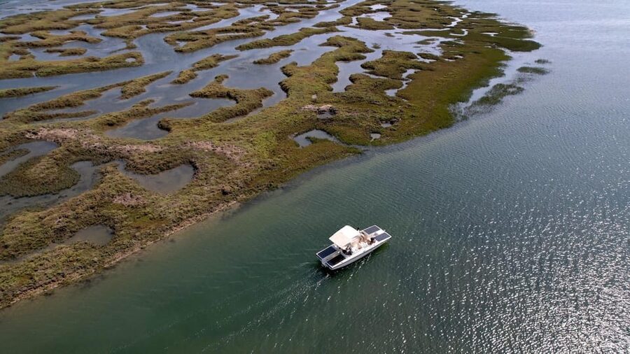 Faro: Ria Formosa Boat Tour by Eco-Friendly Solar Boat - Key things to know before you go