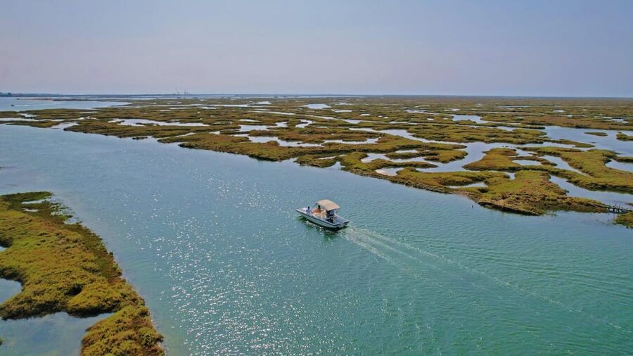 Faro: Ria Formosa Boat Tour by Eco-Friendly Solar Boat - Parque Natural da Ria Formosa: what you’ll see on the marshlands cruise