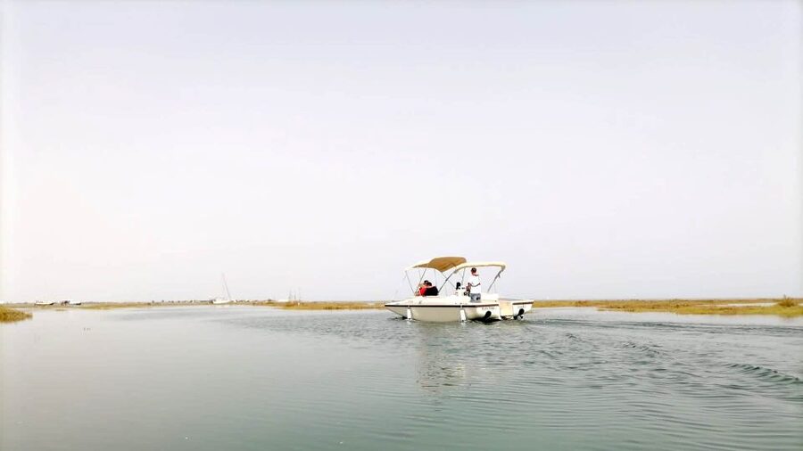 Faro: Ria Formosa Boat Tour by Eco-Friendly Solar Boat - How the 1-hour timing works for your Algarve day