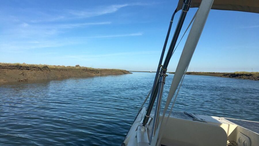 Faro: Ria Formosa Boat Tour by Eco-Friendly Solar Boat - Price and value: is $29 fair for what you get?