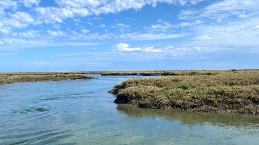 Faro: Ria Formosa Boat Tour by Eco-Friendly Solar Boat - Practical considerations that affect your comfort