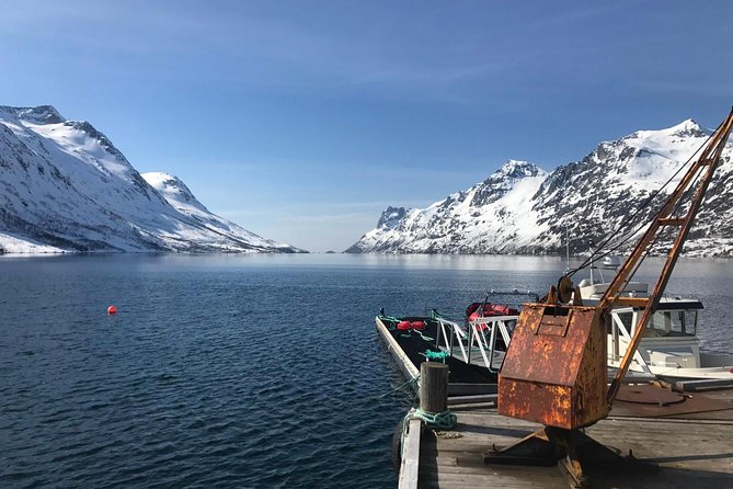 Fjord Sightseeing - Eco friendly Tesla Model X - Key highlights worth planning around