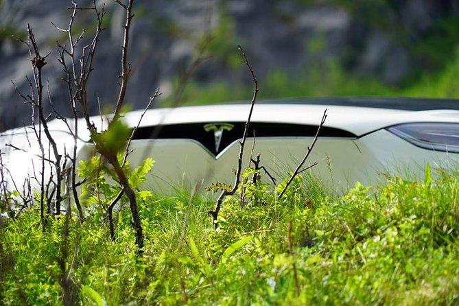 Fjord Sightseeing - Eco friendly Tesla Model X - Tromsø fjord sightseeing, with pickup and a Tesla Model X