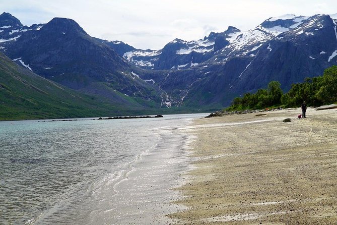 Fjord Sightseeing - Eco friendly Tesla Model X - The cafe break: coffee, cake, and warmth you can actually taste