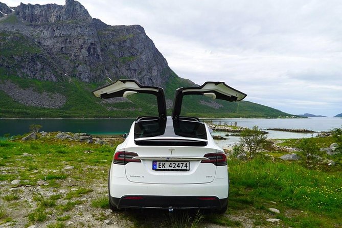 Fjord Sightseeing - Eco friendly Tesla Model X - Price and value: what you’re paying for at $171.16 per person