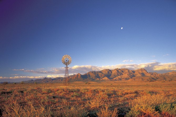 Flinders Ranges 3-Day Small Group 4WD Eco Tour from Adelaide - 4WD in the Flinders: what makes this tour feel worth your time