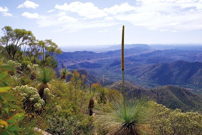 Flinders Ranges 5-Day Small Group 4WD Eco Tour from Adelaide - Day 2: Blinman Mine country and getting your bearings from scenic lookouts
