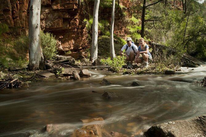 Flinders Ranges 5-Day Small Group 4WD Eco Tour from Adelaide - Price, included meals, and what makes it feel worth it