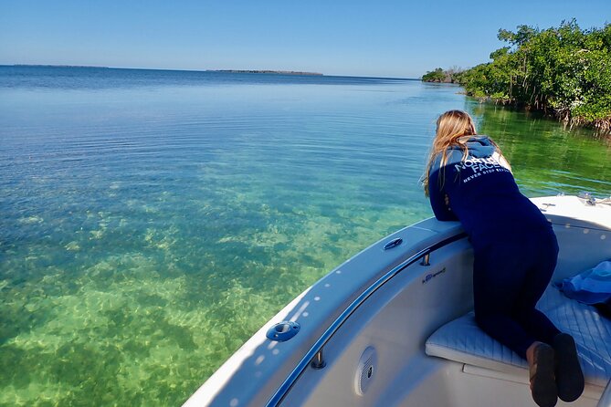 Florida Keys Backcountry Eco Tour from Big Pine Key - Price and Value: What $425 Gets You for a 2-Hour Private Eco Ride