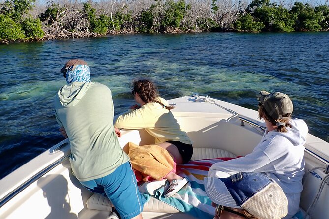 Florida Keys Backcountry Eco Tour from Big Pine Key - Weather and Wind: The Real Factor in Wildlife Spotting