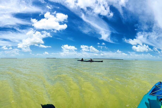 Florida Keys Eco Tour: Snorkel, Kayak, Lunch + Transportation! - Key Things That Make This Tour Worth Your Time