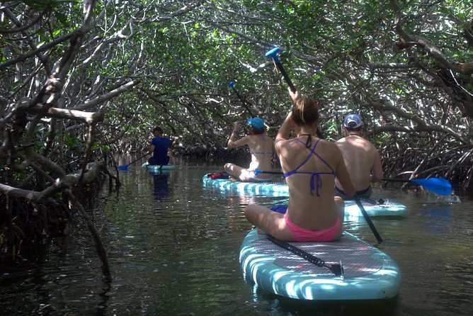 Florida Keys Eco Tour: Snorkel, Kayak, Lunch + Transportation! - Morning Pickup and the Wild Bird Sanctuary Stop: A Calm Start Before the Water