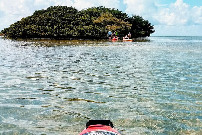 Florida Keys Eco Tour: Snorkel, Kayak, Lunch + Transportation! - Lunch by the Water, With Showers and Snacks That Save the Day