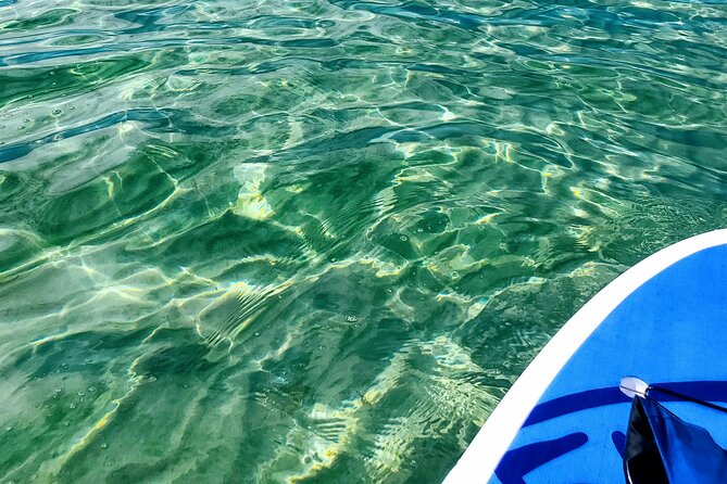 Florida Keys Eco Tour: Snorkel, Kayak, Lunch + Transportation! - Price and Value: What $289 Buys in a 10-Hour Marine Day