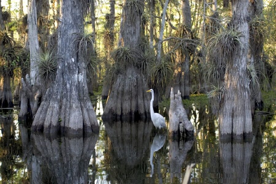 Florida Keys: Key West Kayak Eco Tour with Nature Guide - Key things to know before you go