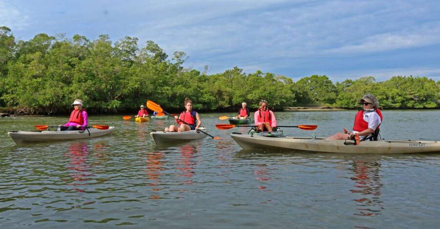 Florida Keys: Key West Kayak Eco Tour with Nature Guide - The 2-hour paddle plan: sheltered channels, guide stops, and spotting opportunities