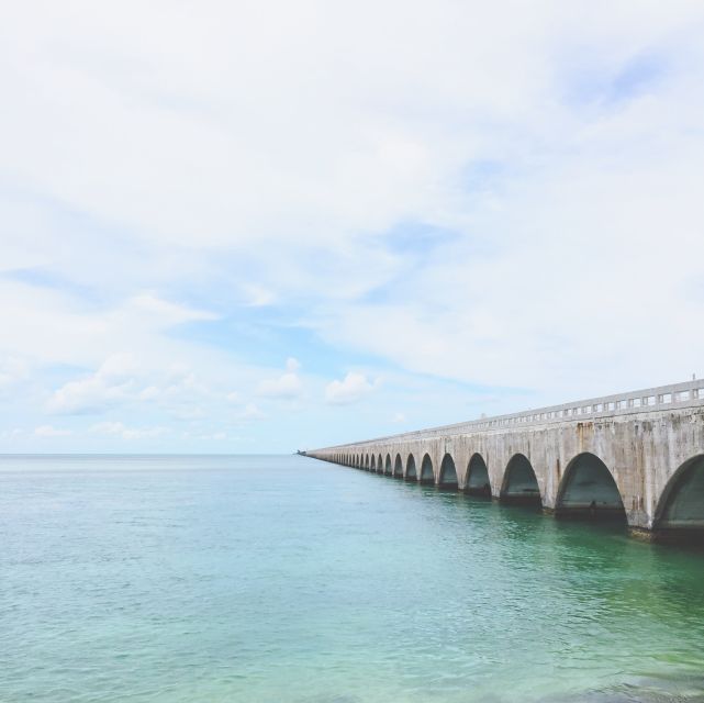 Florida Keys: Key West Kayak Eco Tour with Nature Guide - Hands-on sea creatures: what that means in practice