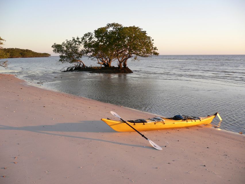 Florida Keys: Key West Kayak Eco Tour with Nature Guide - Paddling tips and gear: making the route feel manageable