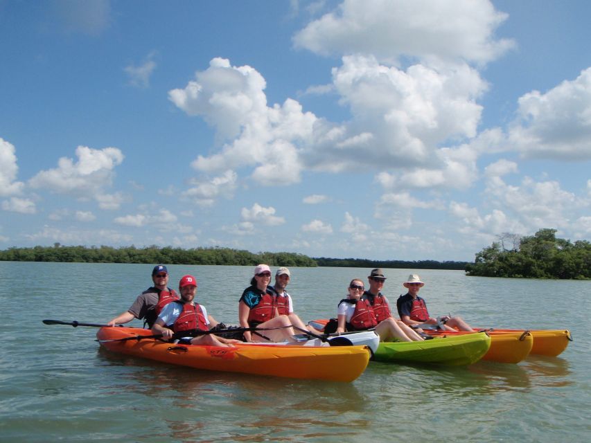 Fort Myers: Guided Kayaking Eco Tour in Pelican Bay - Wildlife spotting checklist: dolphins, manatees, turtles, and more