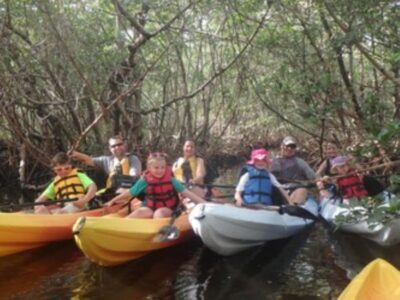 Fort Myers: Guided Kayaking Eco Tour in Pelican Bay - Mangroves and shallow bays: why this route is the point