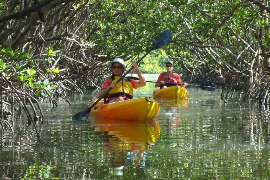Fort Myers: Guided Kayaking Eco Tour in Pelican Bay - Guide support that makes the difference (Katie and Madison noted)