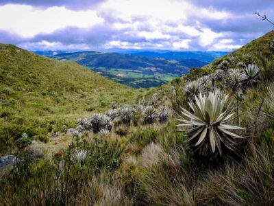 From Bogotá: Chingaza National Park Eco Tour - 7:00 AM Pickup and The La Calera Stop (If You Want It)