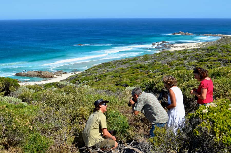 From Busselton: Half-Day Coastal and Wildlife Eco Tour - A 210-minute morning that keeps the focus on wildlife
