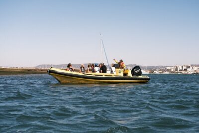 From Faro: Ria Formosa Eco Tour guided by Marine Biologist - Ria Formosa Natural Park: birds and plants explained by a guide with real passion