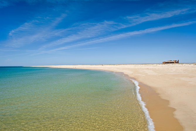 From Faro: Ria Formosa Eco Tour guided by Marine Biologist - Ferry back to Faro and the reality of a day that shifts