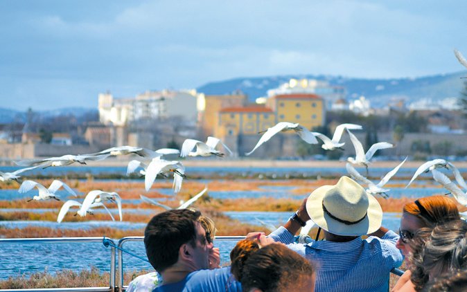 From Faro: Ria Formosa Eco Tour guided by Marine Biologist - Who should book this eco tour (and who might want a different option)