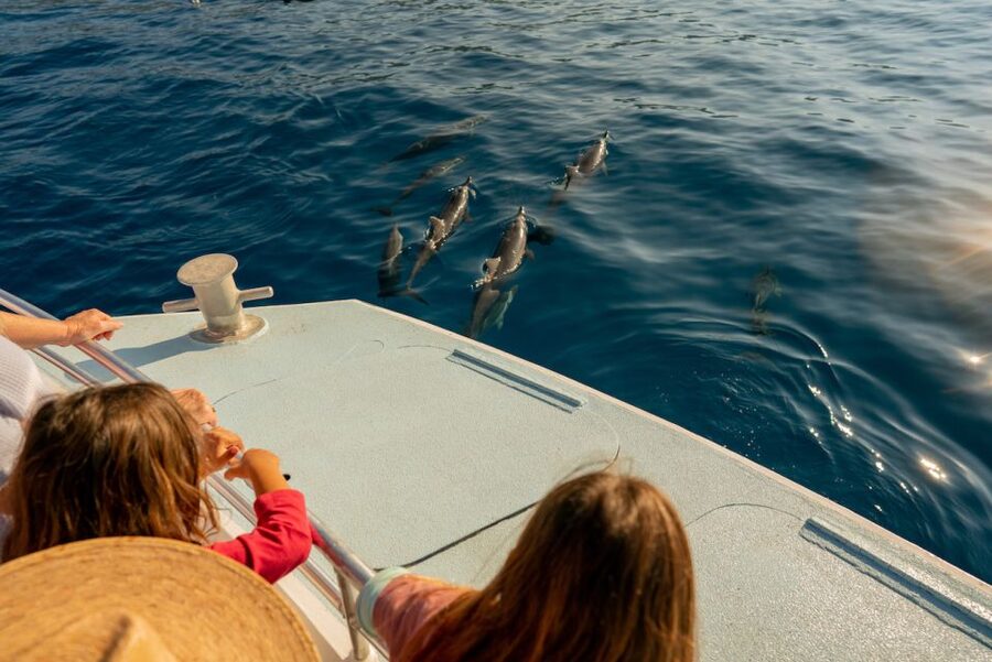 From Hawaii: Eco-Friendly Snorkeling Experience with BBQ - Should you book this Body Glove Kona snorkel-and-BBQ cruise?