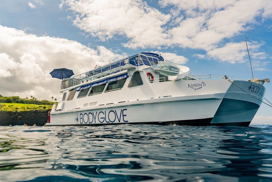 From Hawaii: Eco-Friendly Snorkeling Experience with BBQ - More than snorkeling: paddleboards, slides, and the relax station