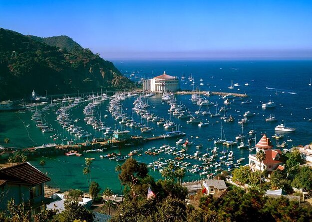 From LA: Catalina Island with Zipline Tour and Hotel Pickup - The big idea: a zipline day trip that doesn’t waste your time