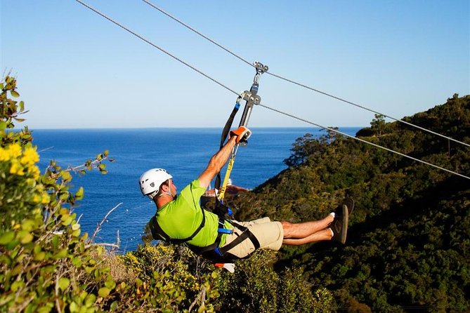 From LA: Catalina Island with Zipline Tour and Hotel Pickup - Descanso Beach Club wind-down: relax first, then ferry back