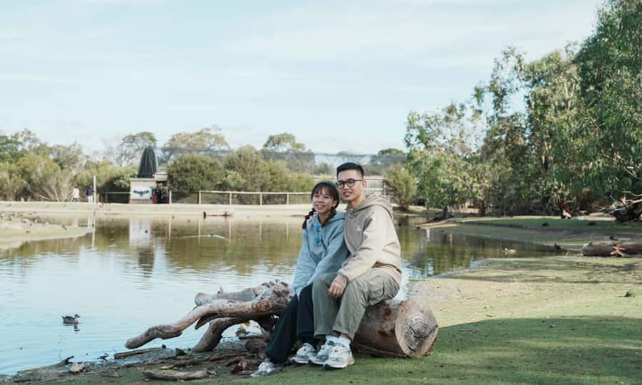 From Melbourne: Phillip Island Penguin Parade Eco Tour - Penguin Parade at sunset: how to get the most from the 2 hours