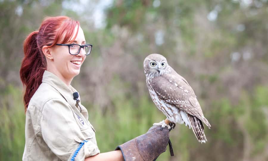 From Melbourne: Phillip Island Penguin Parade Eco Tour - Food, Wi‑Fi, and the real cost of doing this day right