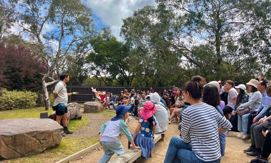 From Melbourne: Phillip Island Penguin Parade Eco Tour - Who this tour fits best (and who might want another plan)